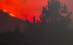Help Our Neighbors Recover from the Fires